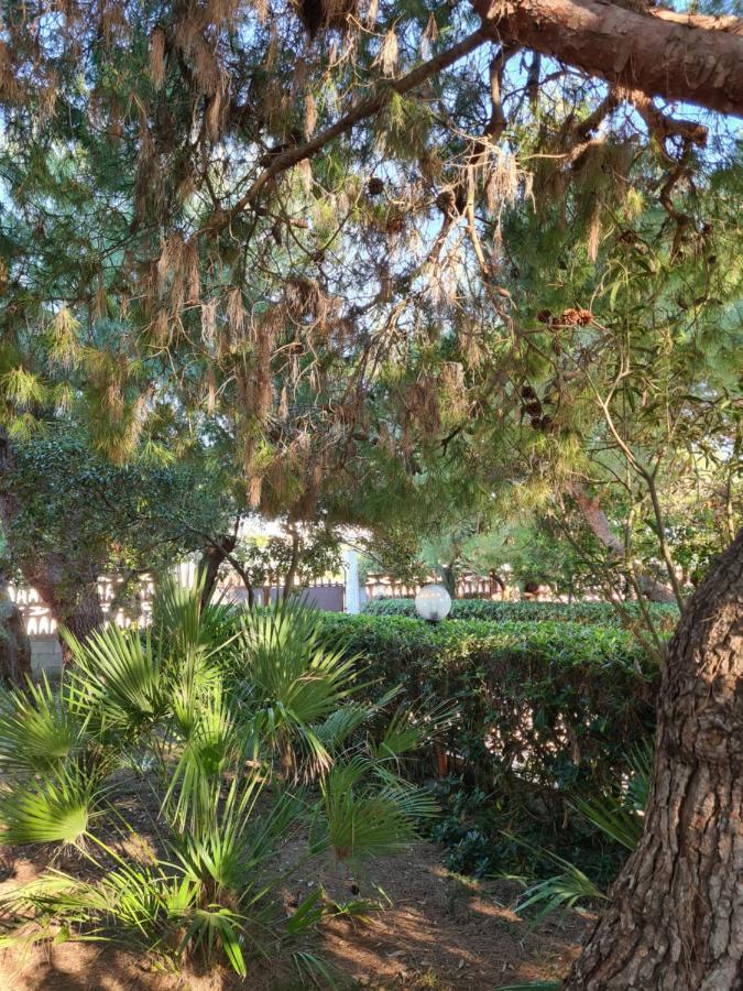 Villa Cino Punta Prosciutto Εξωτερικό φωτογραφία
