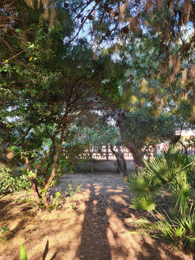 Villa Cino Punta Prosciutto Εξωτερικό φωτογραφία