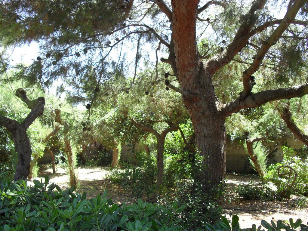 Villa Cino Punta Prosciutto Εξωτερικό φωτογραφία